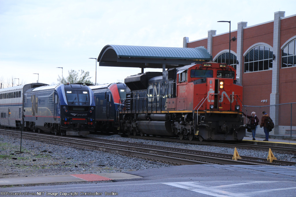 CN 8825